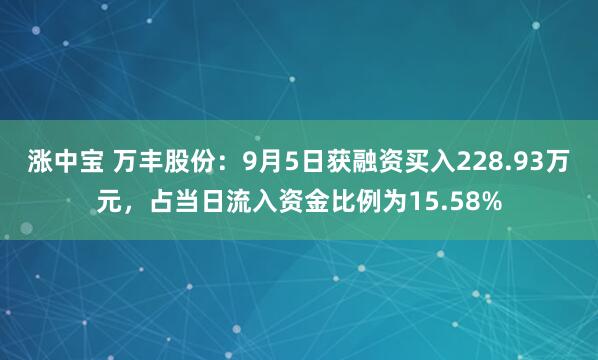 涨中宝 万丰股份：9月5日获融资买入228.93万元，占当日流入资金比例为15.58%