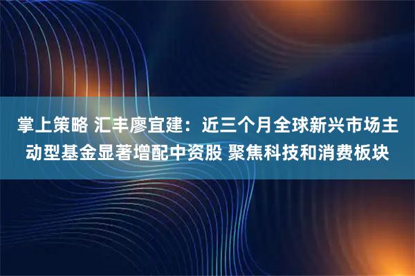 掌上策略 汇丰廖宜建：近三个月全球新兴市场主动型基金显著增配中资股 聚焦科技和消费板块