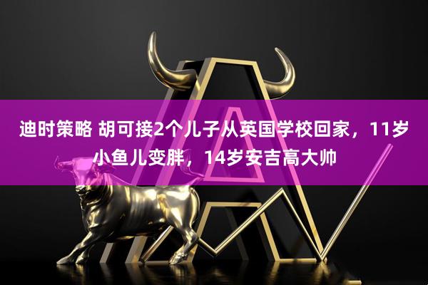 迪时策略 胡可接2个儿子从英国学校回家，11岁小鱼儿变胖，14岁安吉高大帅