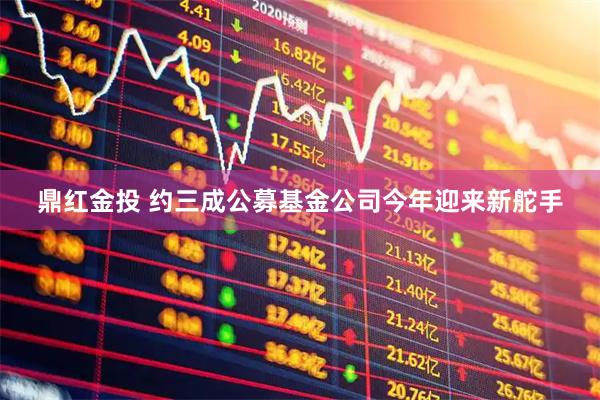 鼎红金投 约三成公募基金公司今年迎来新舵手
