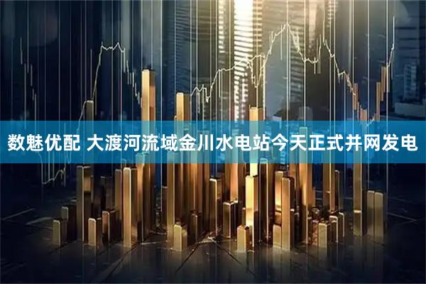 数魅优配 大渡河流域金川水电站今天正式并网发电